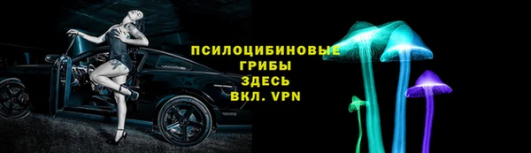 бошки Нефтегорск