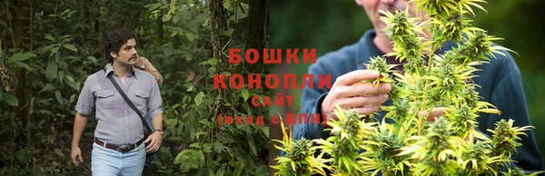 ALPHA PVP Нефтекумск