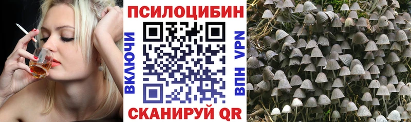 Купить где  Усть-Джегута  Галлюциногенные грибы Cubensis 